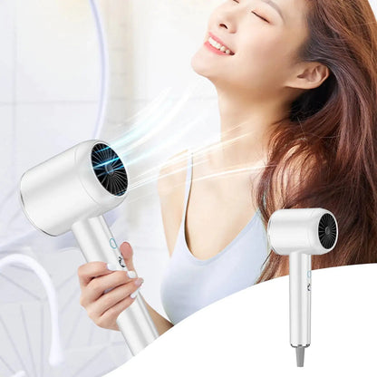 Sleek Pro Ionic Hair Dryer, 2000W Quiet Model for Curly Hair